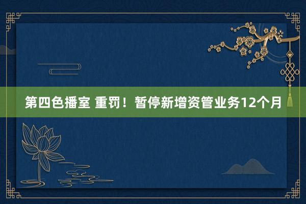 第四色播室 重罚！暂停新增资管业务12个月