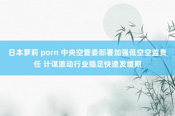 日本萝莉 porn 中央空管委部署加强低空空监责任 计谋激动行业插足快速发缓期