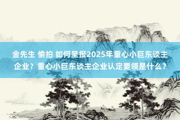 金先生 偷拍 如何呈报2025年重心小巨东谈主企业？重心小巨东谈主企业认定要领是什么？