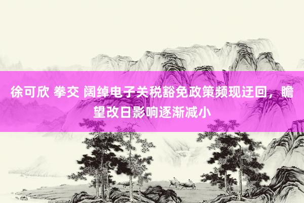 徐可欣 拳交 阔绰电子关税豁免政策频现迂回，瞻望改日影响逐渐减小