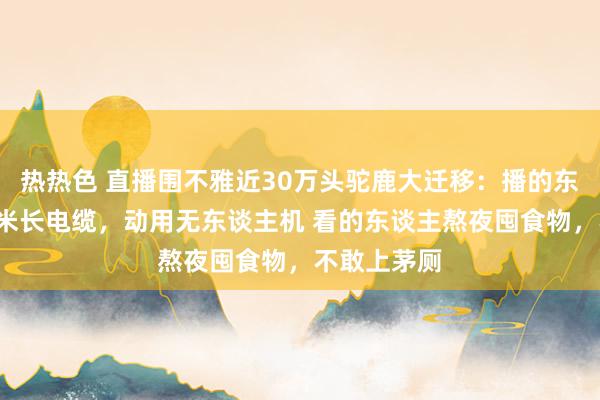 热热色 直播围不雅近30万头驼鹿大迁移：播的东谈主铺2万米长电缆，动用无东谈主机 看的东谈主熬夜囤食物，不敢上茅厕