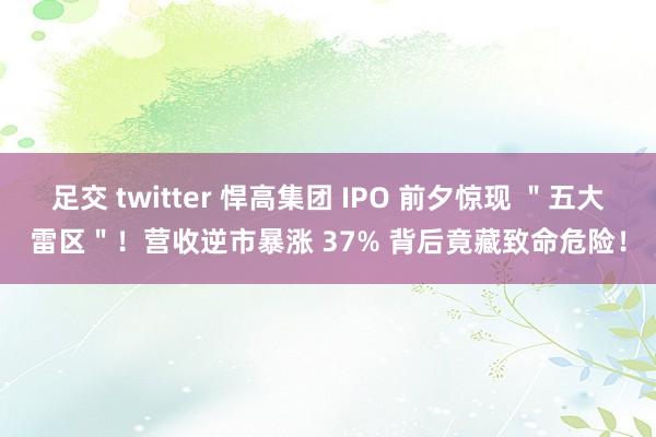 足交 twitter 悍高集团 IPO 前夕惊现 ＂五大雷区＂！营收逆市暴涨 37% 背后竟藏致命危险！