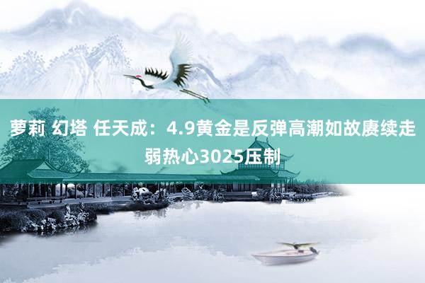 萝莉 幻塔 任天成：4.9黄金是反弹高潮如故赓续走弱热心3025压制