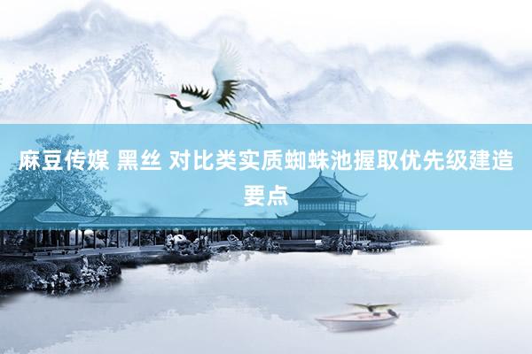 麻豆传媒 黑丝 对比类实质蜘蛛池握取优先级建造要点
