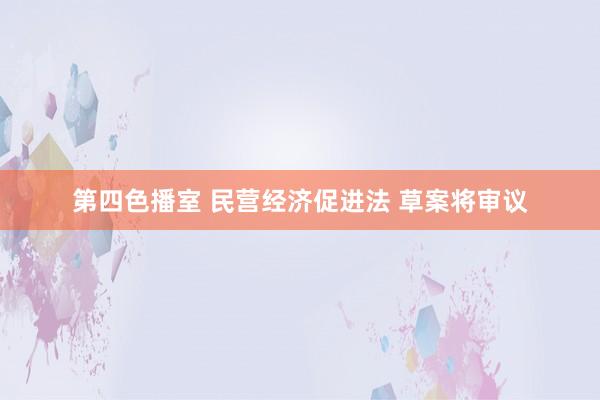第四色播室 民营经济促进法 草案将审议