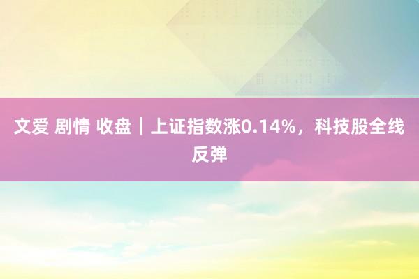 文爱 剧情 收盘｜上证指数涨0.14%，科技股全线反弹