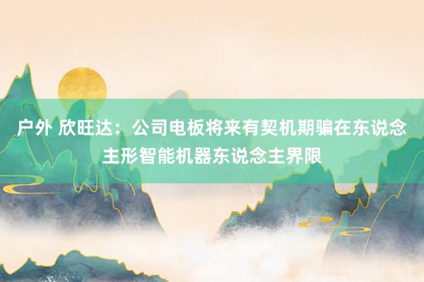 户外 欣旺达：公司电板将来有契机期骗在东说念主形智能机器东说念主界限