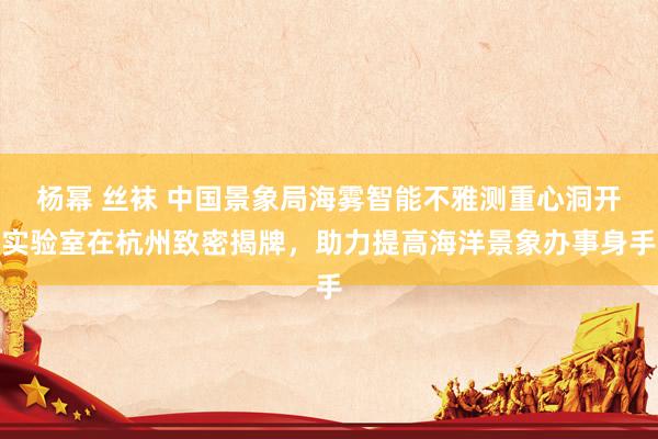 杨幂 丝袜 中国景象局海雾智能不雅测重心洞开实验室在杭州致密揭牌，助力提高海洋景象办事身手