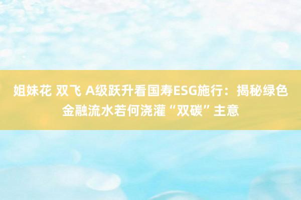 姐妹花 双飞 A级跃升看国寿ESG施行：揭秘绿色金融流水若何浇灌“双碳”主意