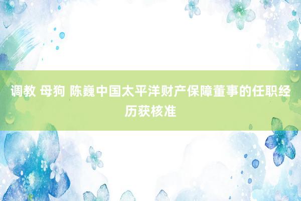 调教 母狗 陈巍中国太平洋财产保障董事的任职经历获核准