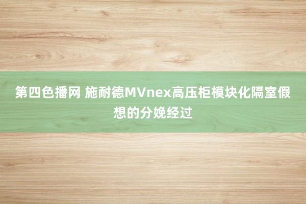 第四色播网 施耐德MVnex高压柜模块化隔室假想的分娩经过