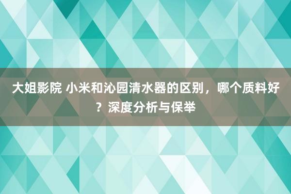 大姐影院 小米和沁园清水器的区别，哪个质料好？深度分析与保举