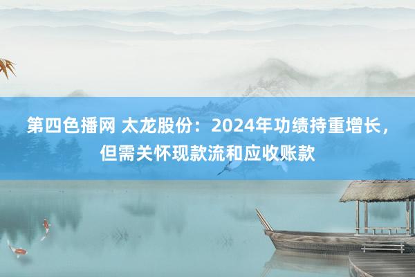 第四色播网 太龙股份：2024年功绩持重增长，但需关怀现款流和应收账款